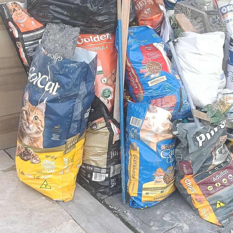 Imagem da publicação