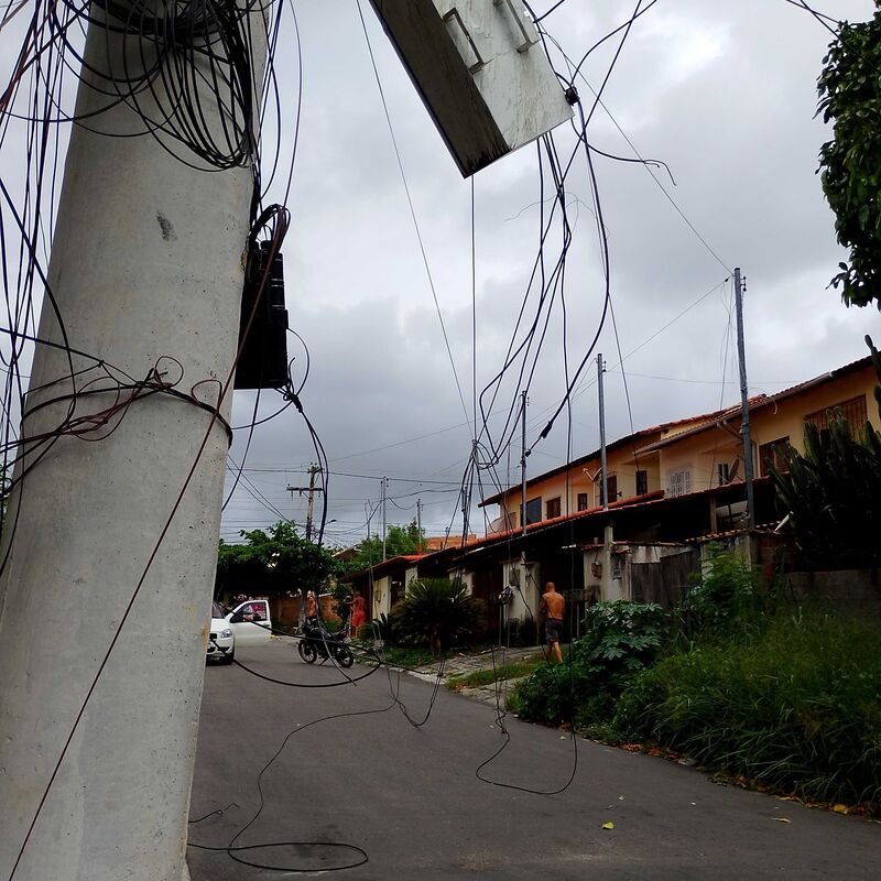 Imagem da publicação