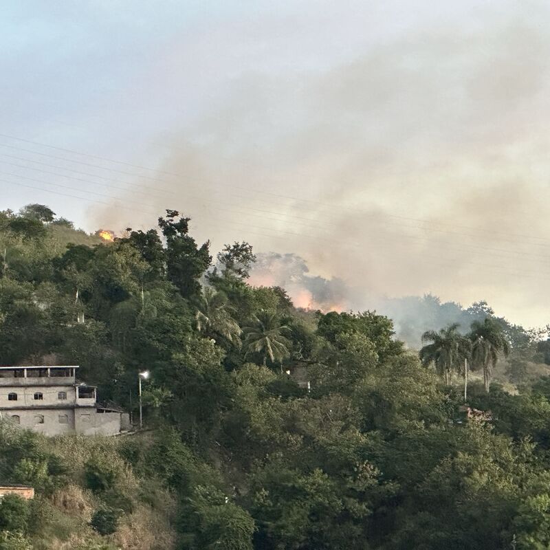 Imagem da publicação