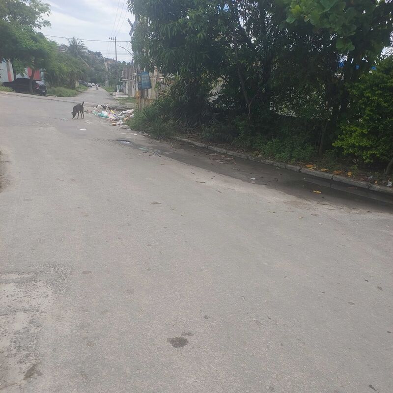 Imagem da publicação