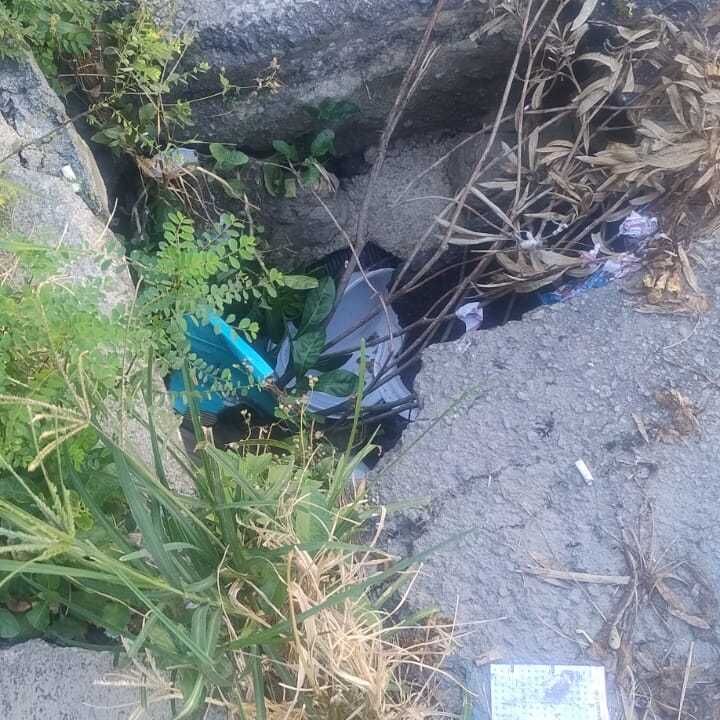 Imagem da publicação