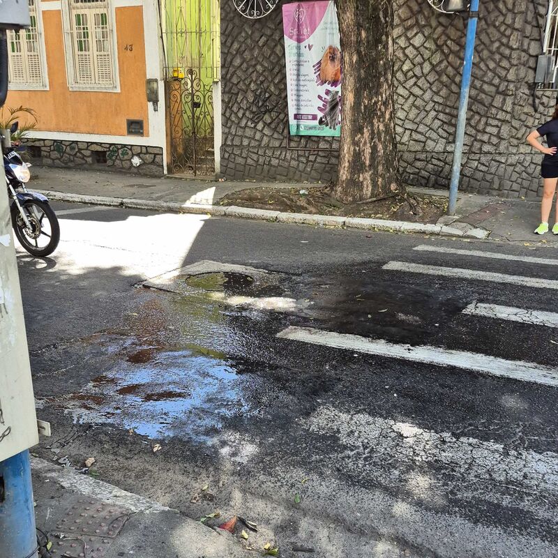 Imagem da publicação