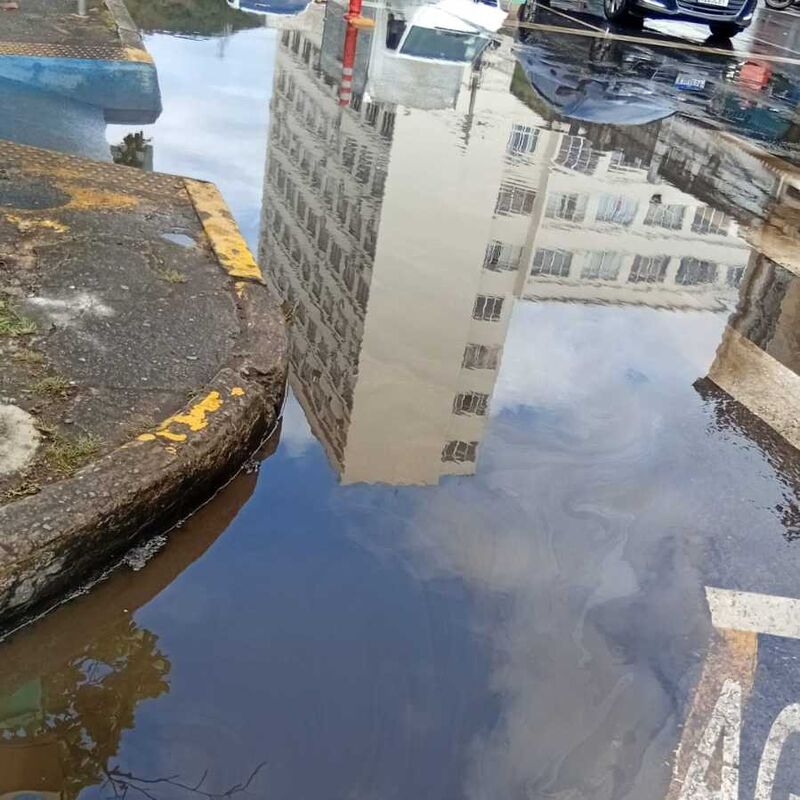 Imagem da publicação