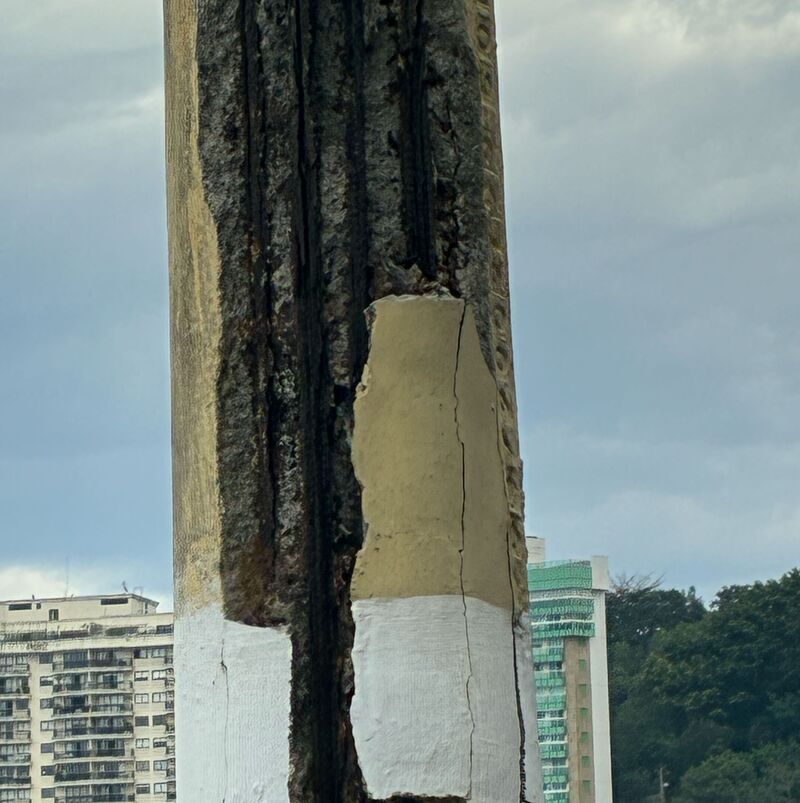 Imagem da publicação
