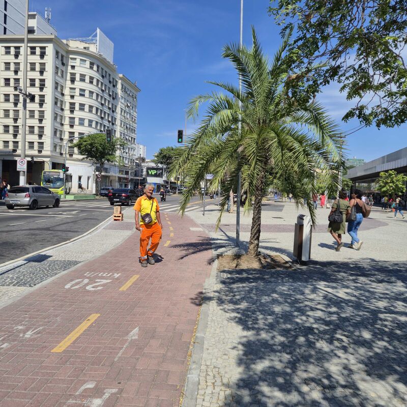 Imagem da publicação