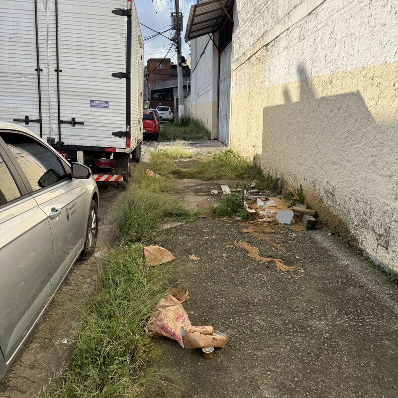 Imagem da publicação