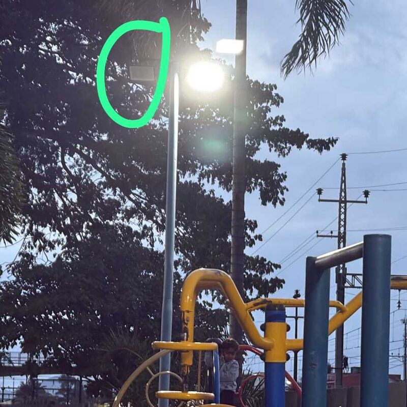 Imagem da publicação