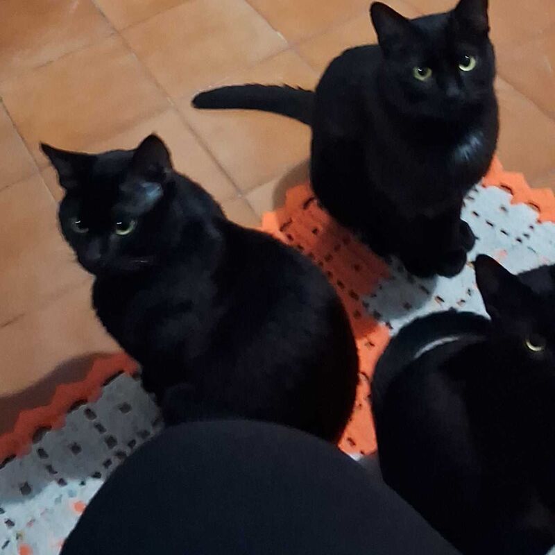 Imagem da publicação