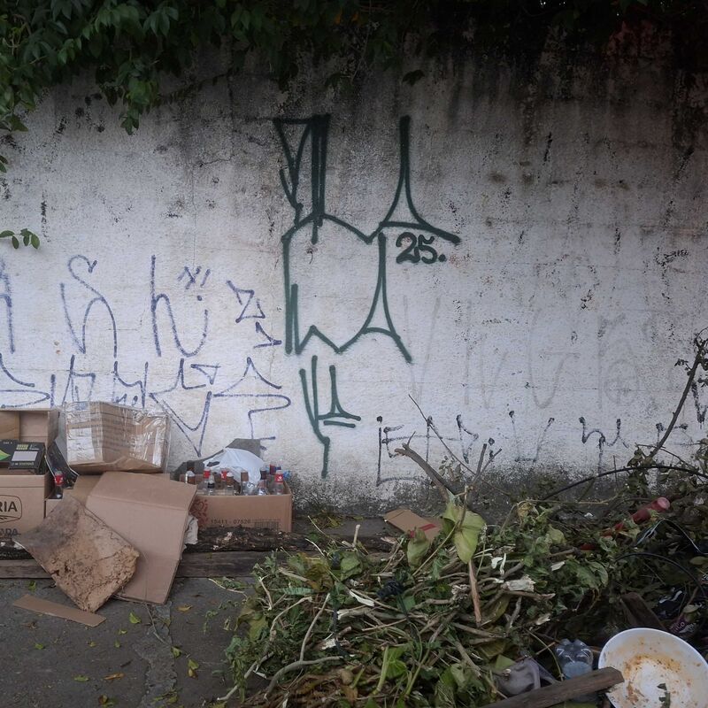 Imagem da publicação