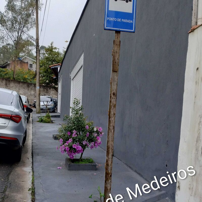 Imagem da publicação