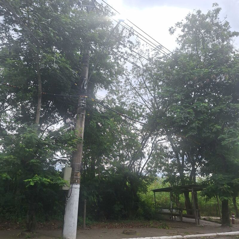 Imagem da publicação