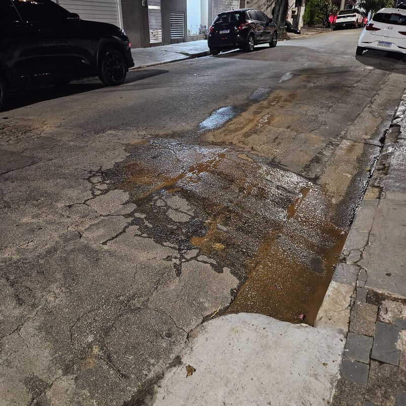 Imagem da publicação