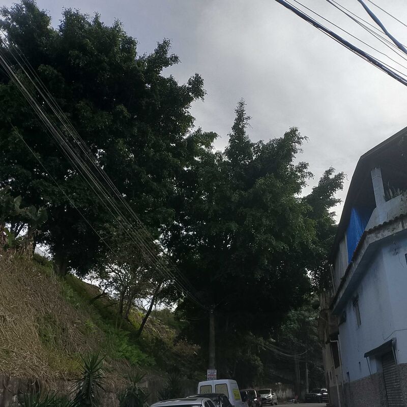 Imagem da publicação