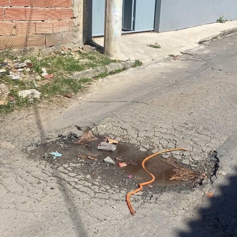 Imagem da publicação
