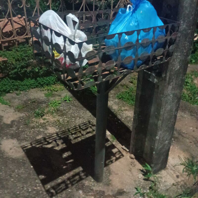 Imagem da publicação