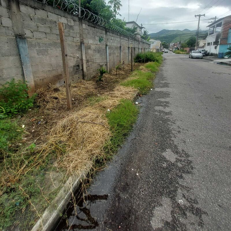 Imagem da publicação