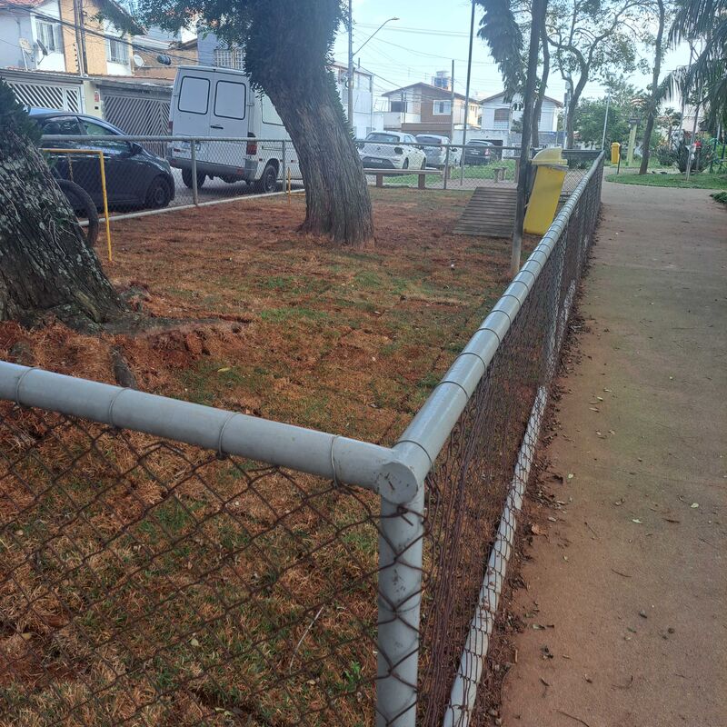 Imagem da publicação