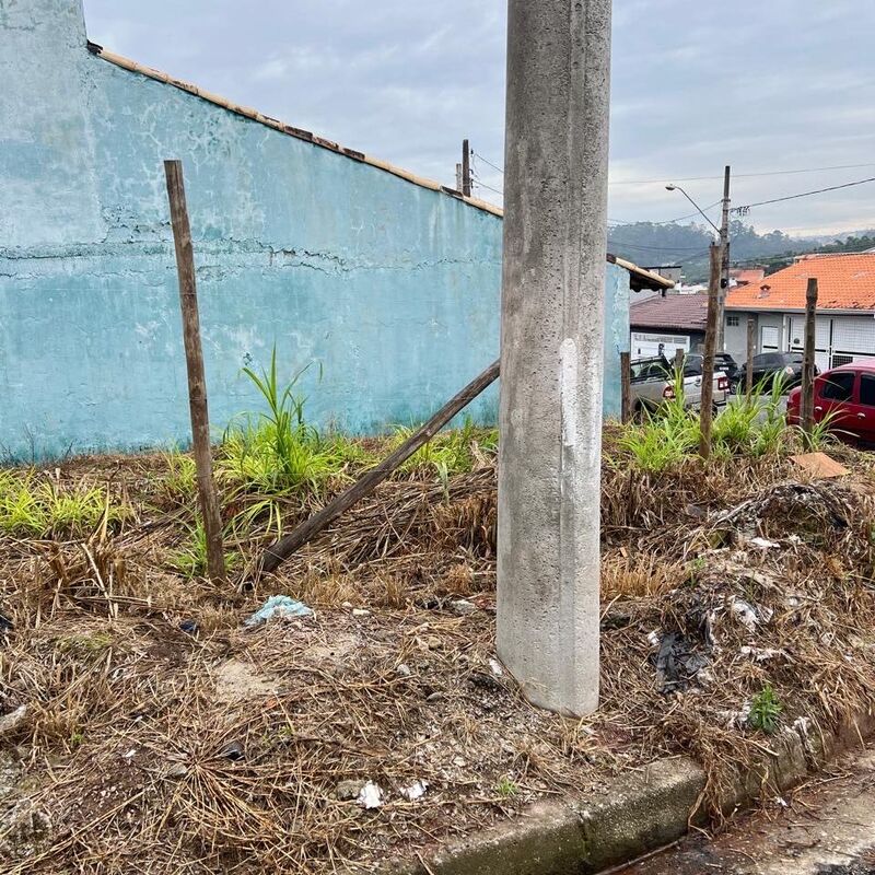 Imagem da publicação