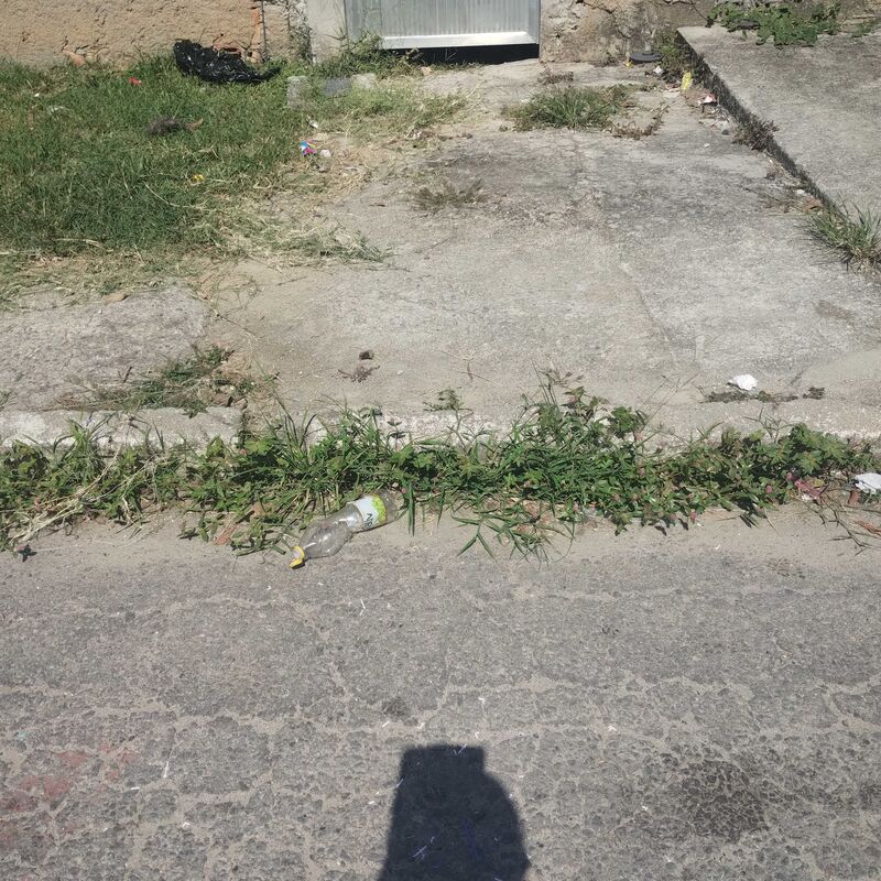 Imagem da publicação