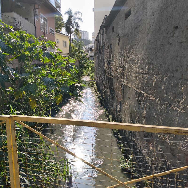 Imagem da publicação