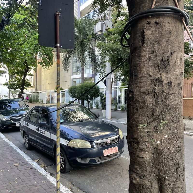 Imagem da publicação