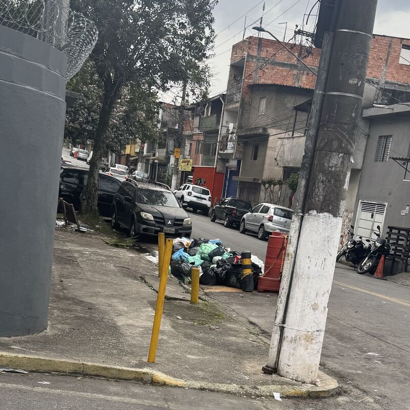 Imagem da publicação