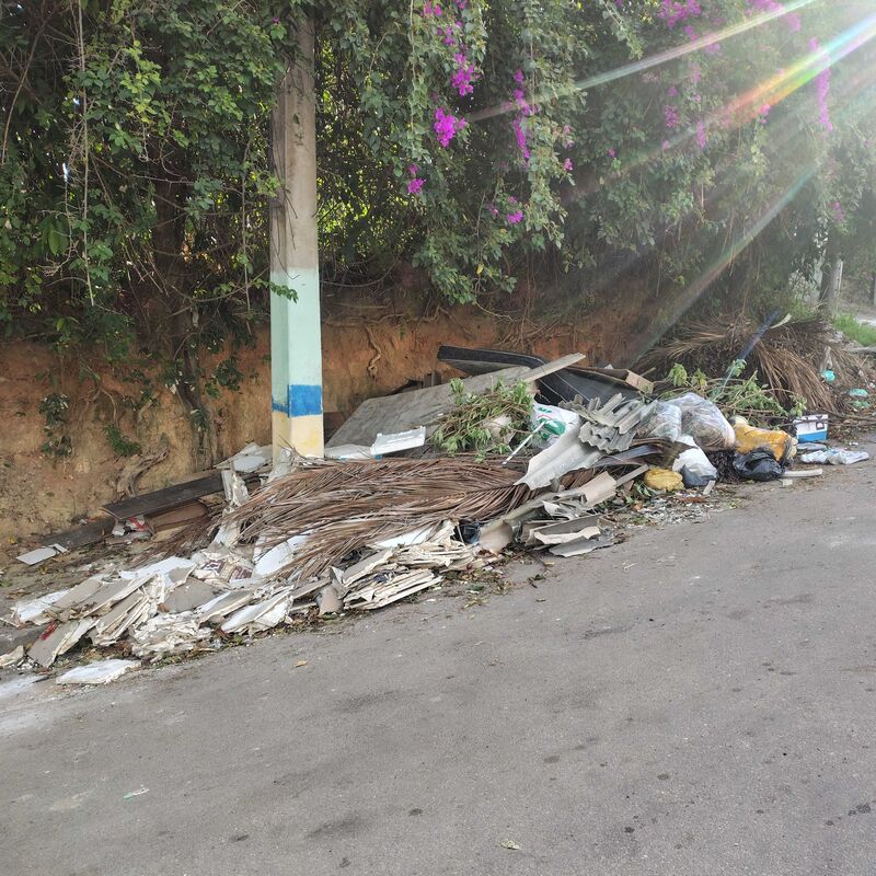 Imagem da publicação