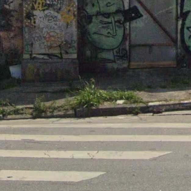 Imagem da publicação