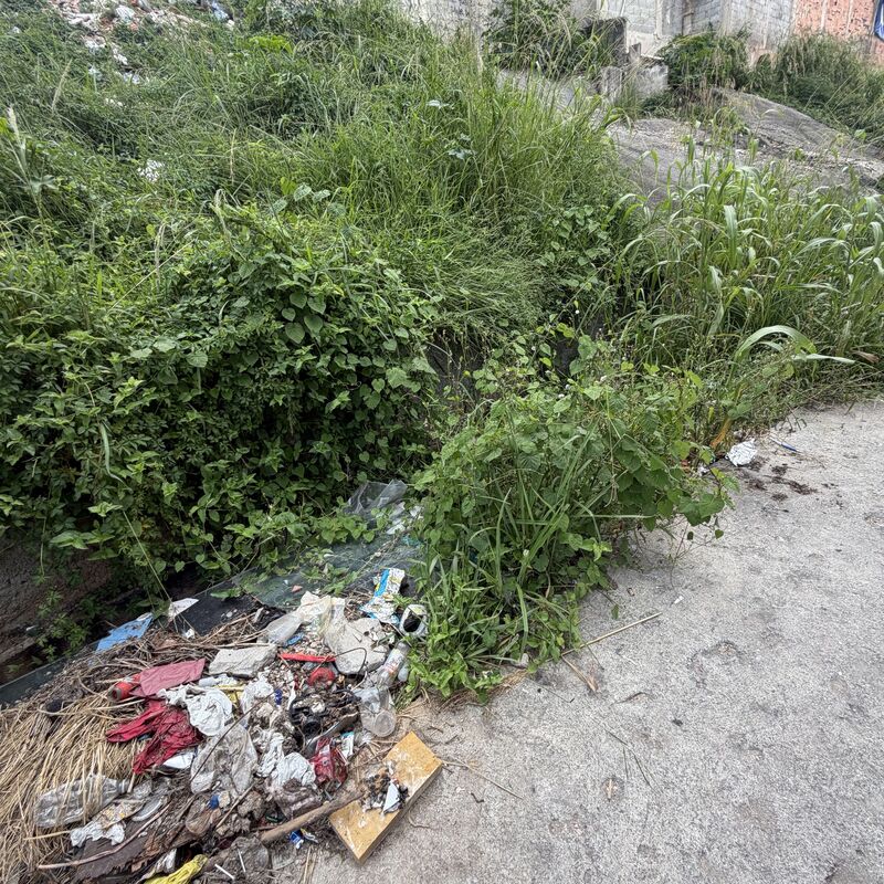 Imagem da publicação