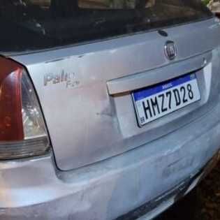 Imagem da publicação