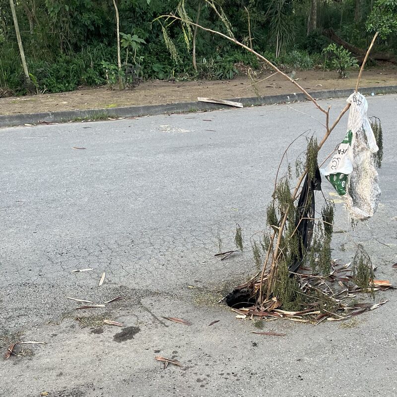 Imagem da publicação