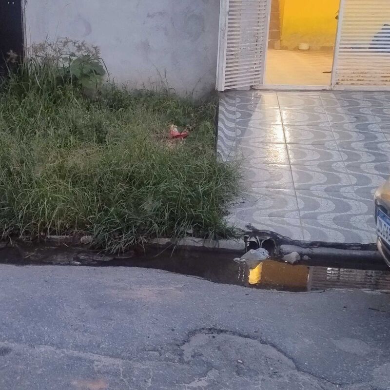 Imagem da publicação