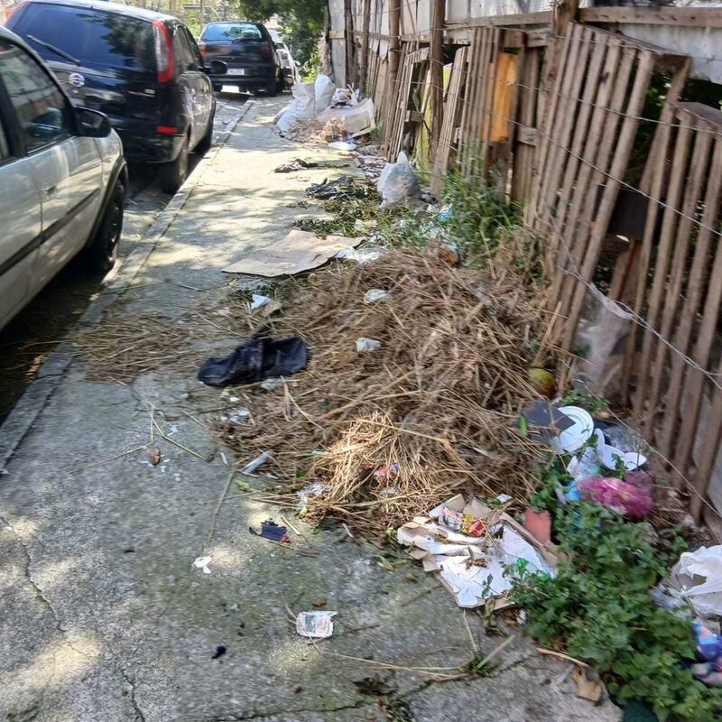 Imagem da publicação
