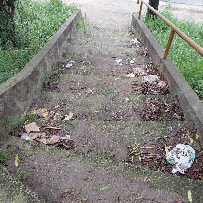 Imagem da publicação