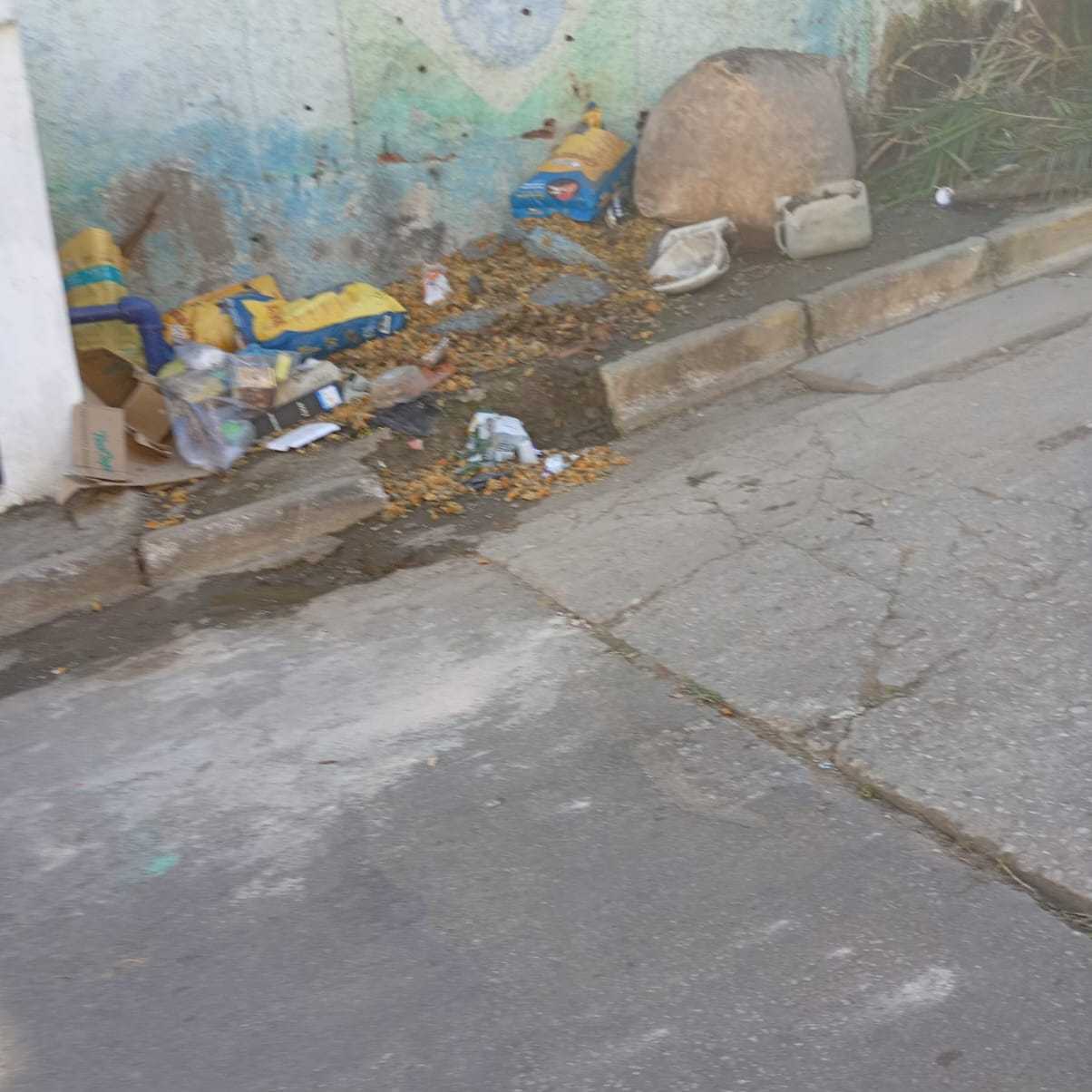 Imagem da publicação
