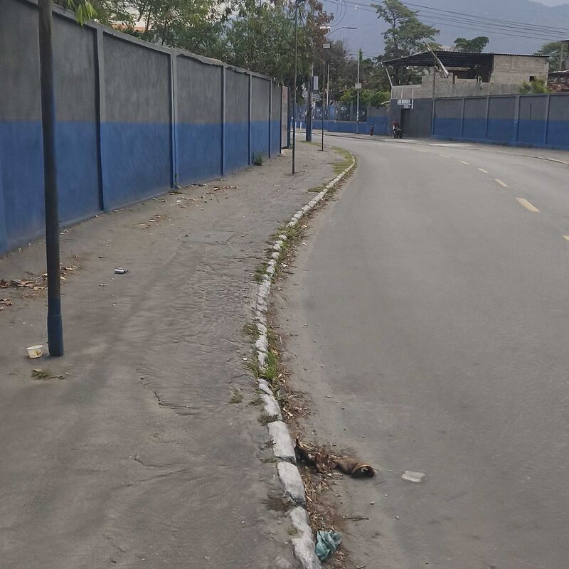 Imagem da publicação