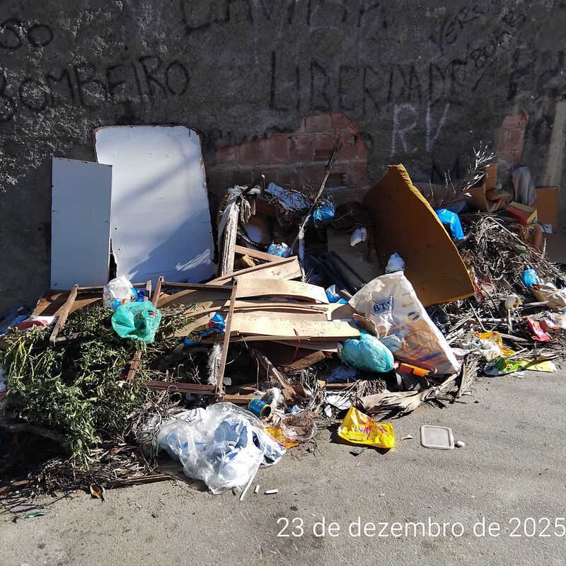 Imagem da publicação