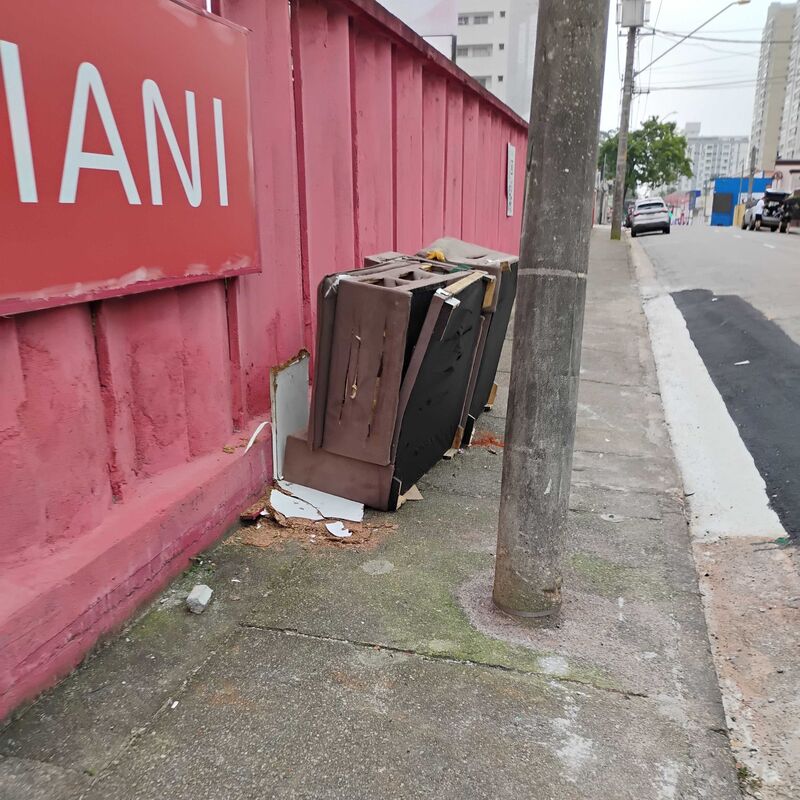 Imagem da publicação