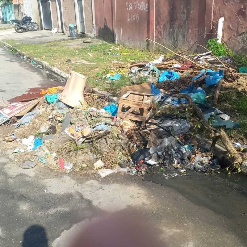 Imagem da publicação