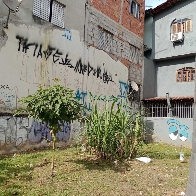 Imagem da publicação