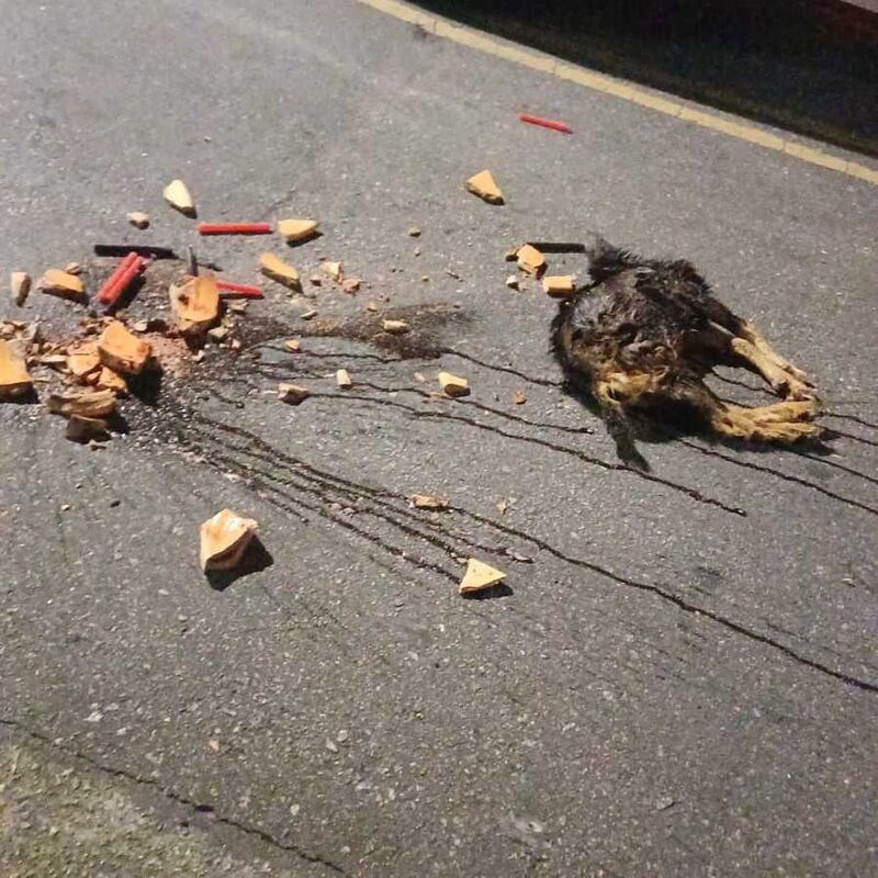 Imagem da publicação
