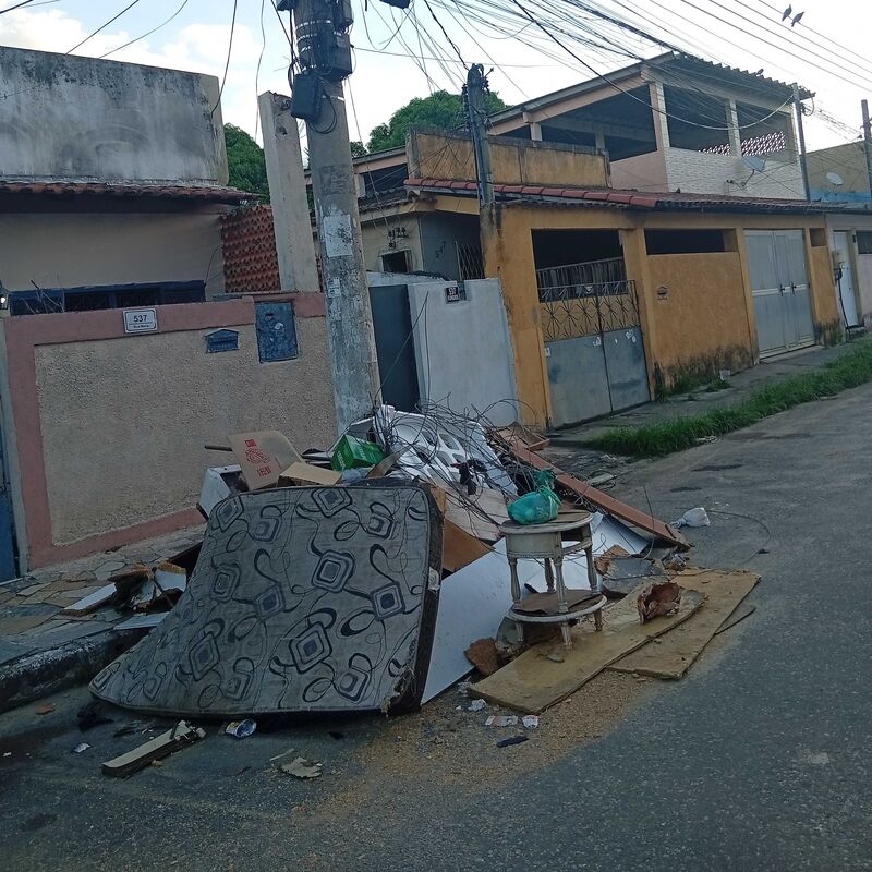 Imagem da publicação