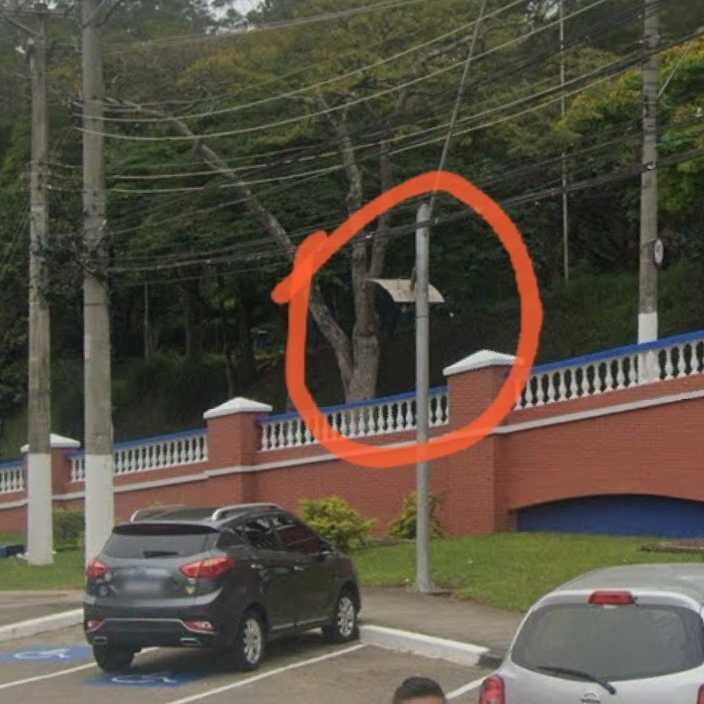 Imagem da publicação