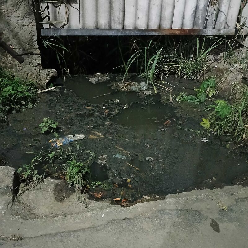 Imagem da publicação