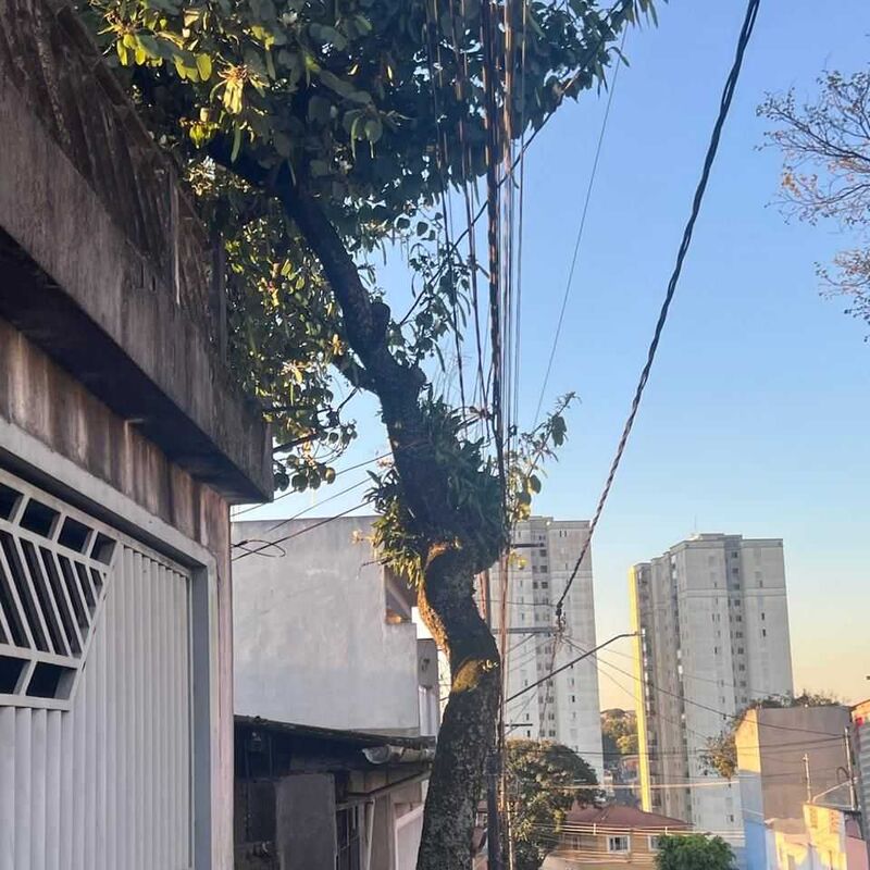 Imagem da publicação
