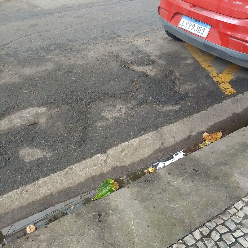 Imagem da publicação