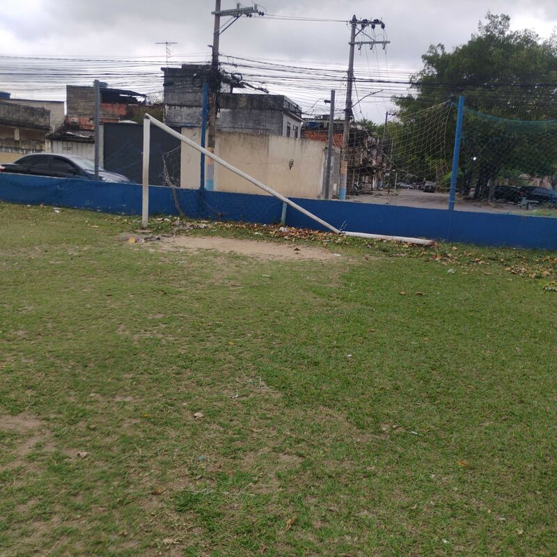 Imagem da publicação
