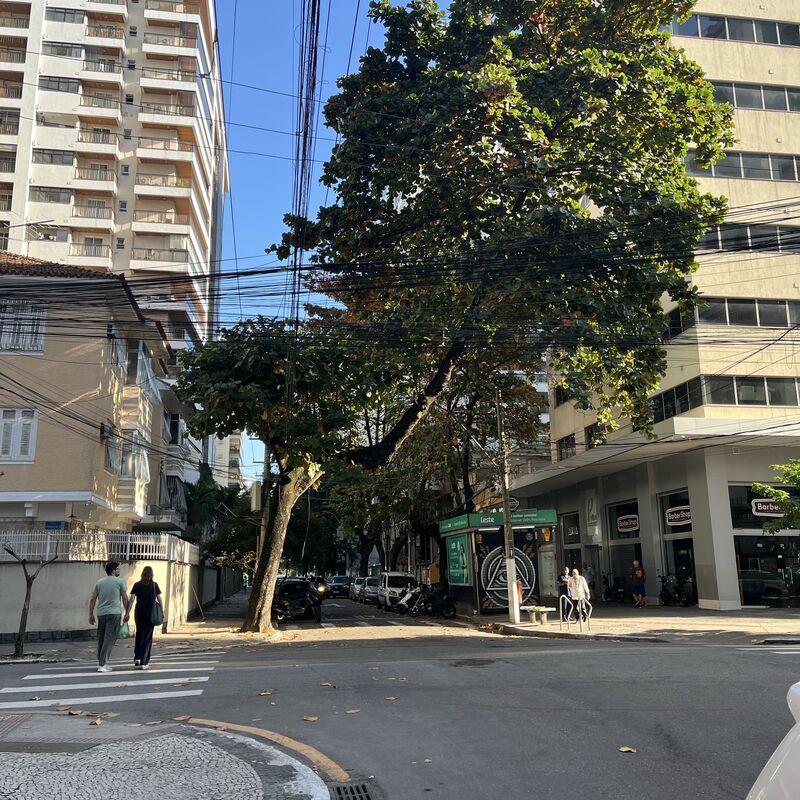 Imagem da publicação