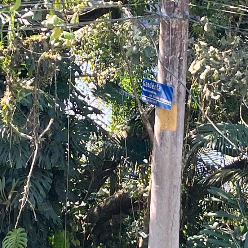 Imagem da publicação