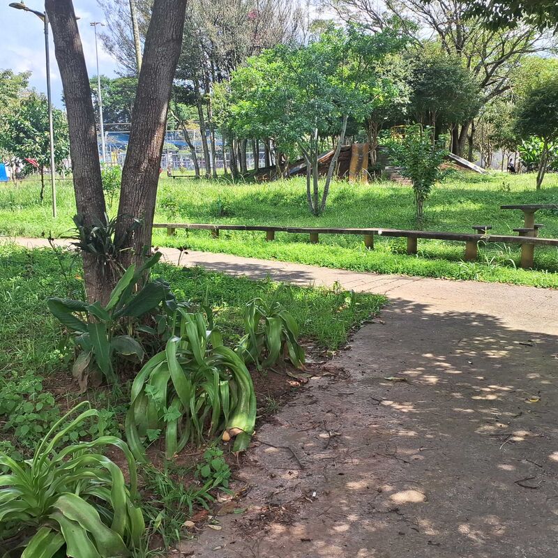 Imagem da publicação